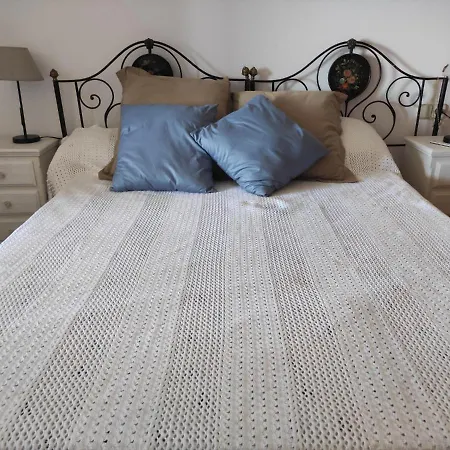 Cantir パラフルジェイ